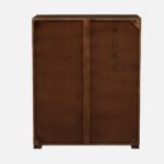 Mango Wood 2 Door Bar Cabinet in Rustic Teak Finish - Image 3