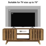 Regal TV Stand for TVs up to 75 Inches with Sliding Door Entertainment Center Design - Image 4