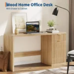 Modern Desk with Drawer and Enclosed Storage Cabinet