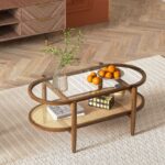 2-Tier Coffee Table with Tempered Glass Top and PE Rattan Shelf